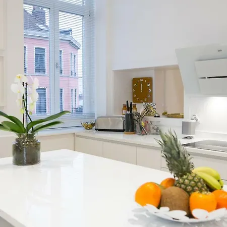 Luxueux Bourgeois De 250 M2 Climatise * Rijsel