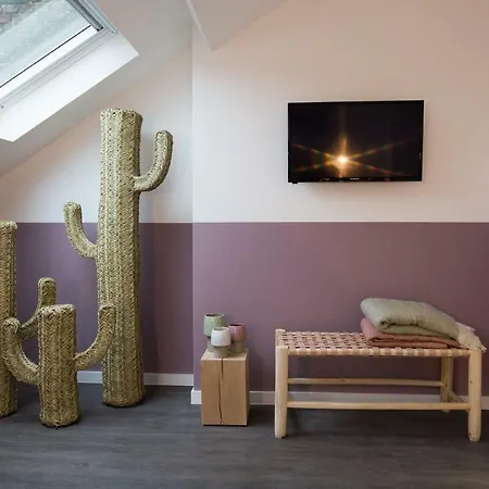 Luxueux Bourgeois De 250 M2 Climatise * Rijsel