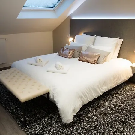 Luxueux Bourgeois De 250 M2 Climatise Rijsel