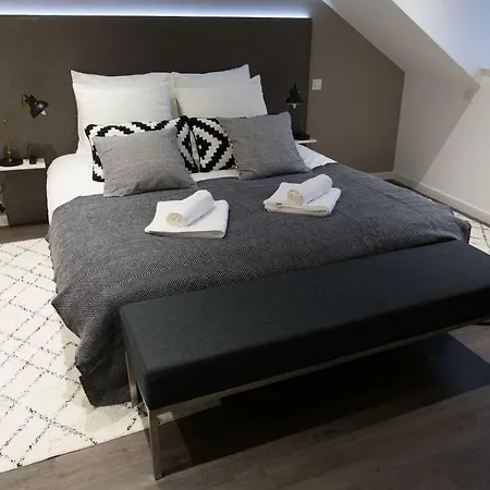 Luxueux Bourgeois De 250 M2 Climatise *