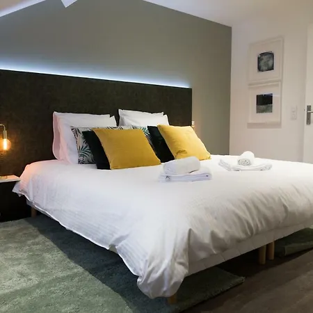 Apartament Luxueux Bourgeois De 250 M2 Climatise Lille