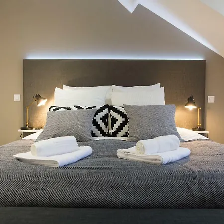 Apartament Luxueux Bourgeois De 250 M2 Climatise Lille