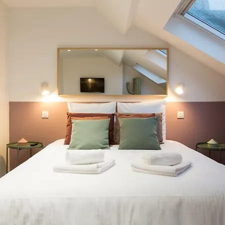 Luxueux Bourgeois De 250 M2 Climatise Apartament Lille